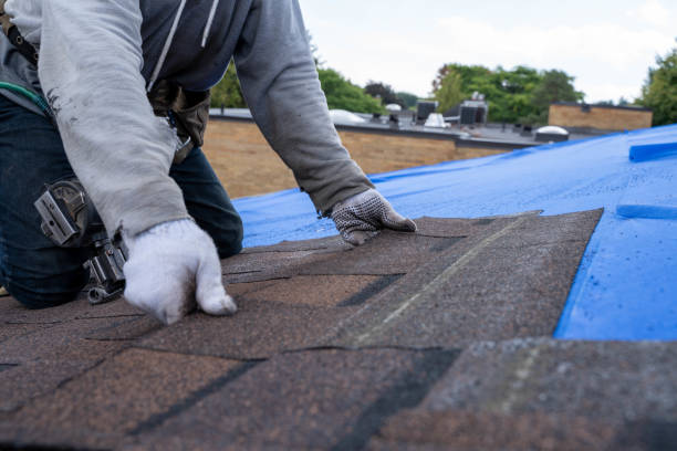 Best Commercial Roofing Services  in Frenchtown, NJ