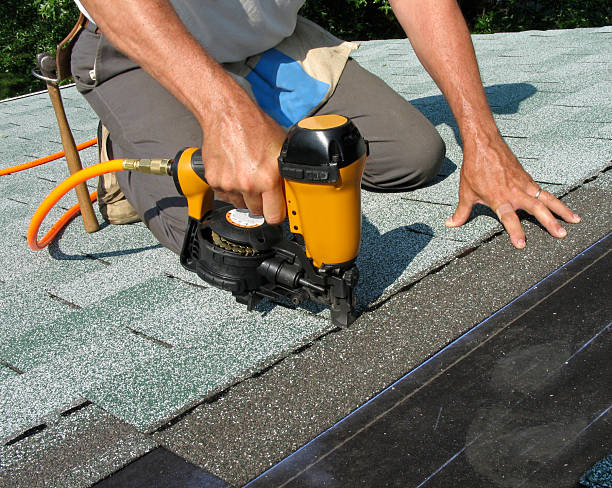 Best Roof Gutter Cleaning  in Frenchtown, NJ