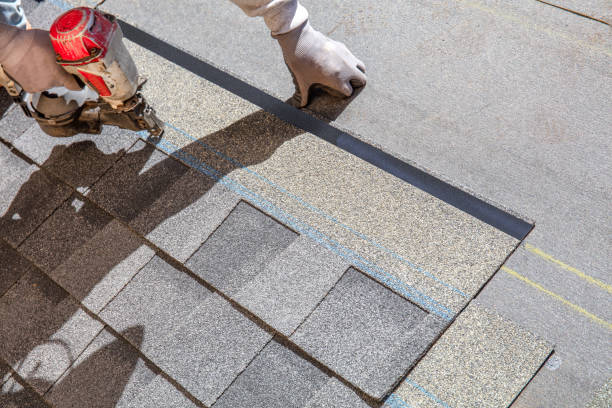 Best Local Roofing Companies  in Frenchtown, NJ